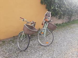 two bikes with baskets parked next to a building at alpe mare in Marina di Carrara