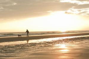 a man walking a dog on the beach at Hotel Juan de la Cosa in Santoña