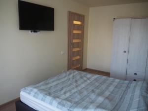 een slaapkamer met een bed en een flatscreen-tv bij B&K apartments in Panevėžys