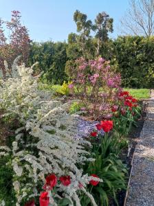 a garden with red and white flowers at Oaza nad Krutynią in Ukta