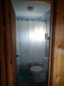 a bathroom with a toilet and a shower curtain at Cabaña Jacarandá in Salamanca