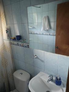 a bathroom with a toilet and a sink and a mirror at Cabaña Jacarandá in Salamanca