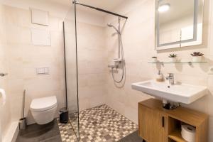 een badkamer met een douche, een wastafel en een toilet bij Daniels Apartment an der Schloßbrücke in Meißen