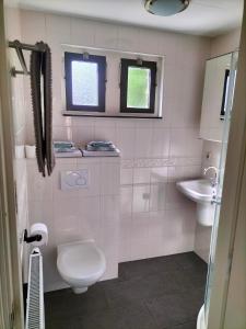 een badkamer met een toilet en een wastafel bij De oude walnoot in Sint Pancras