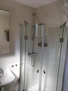 een badkamer met een douche en een wastafel bij De oude walnoot in Sint Pancras