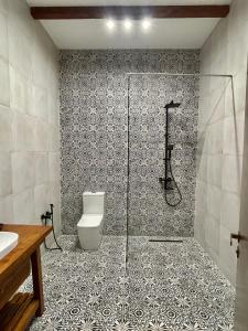 a bathroom with a shower and a toilet at Javakhishvilebis Marani in Akhalsopʼeli