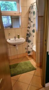 a bathroom with a sink and a shower at Mazurski Kubryk in Ruciane-Nida