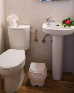 Casa Rural Felipe Luis في San Juan de la Rambla: حمام به مرحاض أبيض ومغسلة