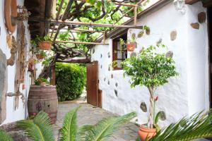 Ogród w obiekcie Casa Rural Felipe Luis