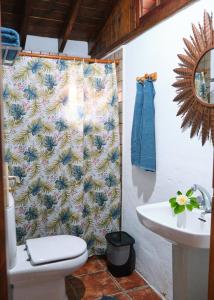 a bathroom with a toilet and a shower curtain at Casa Rural Felipe Luis in San Juan de la Rambla