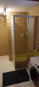 ein Badezimmer mit einer Dusche und einer grünen Badewanne in der Unterkunft Feriënhaus Hohe Acht in Siebenbach