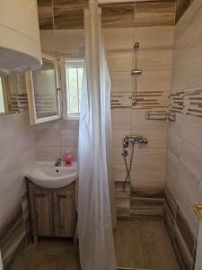 y baño con lavabo y ducha con cortina de ducha. en reginavendeghaz en Balatonmáriafürdő