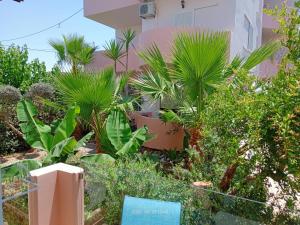 un giardino di fronte a un edificio con piante di Callista sea view or garden a Kíssamos