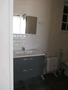 een badkamer met een wastafel en een toilet bij Gîte de la Perigourdine in Pineuilh