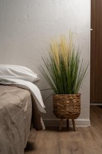 roślina w koszyku siedząca obok łóżka w obiekcie Air Apartment 104 w Wilnie