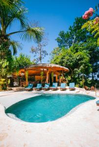 una piscina con sillas y un cenador en Selva Armonia Immersive Jungle Resort, en Uvita