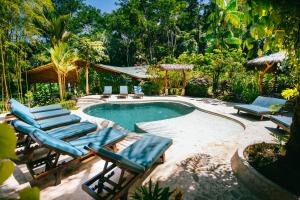 uma piscina com espreguiçadeiras ao lado de um resort em Selva Armonia Immersive Jungle Resort em Uvita