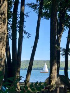 una barca a vela in acqua con una barca in acqua di FeWo mit 3 SZ, direkte Innenstadtlage, Südterrasse, Parkplatz auf dem eigenem Privatgrundstück, 2x E-Bike und E-Autoladesäule inklusive, Konzertkirche, Schauspielhaus, FH, Jahnsportforum sowie der Tollensesee sind fußläufig in ein paar Minuten erreichbar a Neubrandenburg