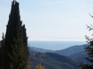 een uitzicht op een berg met twee bomen op de voorgrond bij Casa Rosalie in Borgomaro