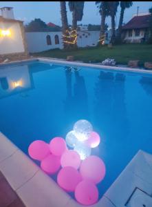 una piscina con bolas rosas y blancas. en Fazenda do Marante, en Tomar