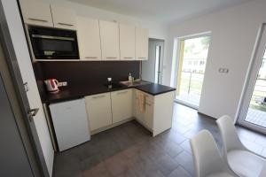 Kuchyň nebo kuchyňský kout v ubytování Apartmány Vír