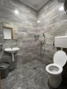 a bathroom with a toilet and a sink at Apartmani Milenko in Bela Crkva