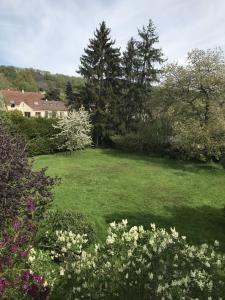 un campo de césped con árboles y flores en Maison idéale pour visiter Paris Versailles - Chambres privées Paris-Saclay en Bures-sur-Yvette