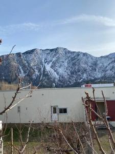 a white building with a snow covered mountain in the background at Luisa's guest suite in Keremeos