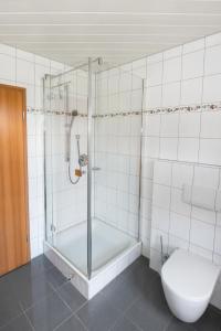uma casa de banho com um chuveiro e um WC. em Iris em Walsdorf