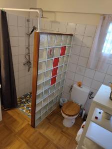 een badkamer met een toilet en een douche bij Gîte Morne Vent in Bois Neuf