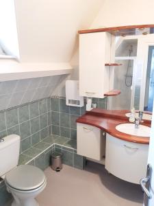 a bathroom with a toilet and a sink at Les Balcons du Trégor in Lannion