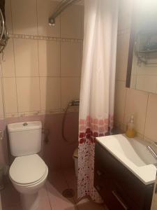 een badkamer met een toilet, een wastafel en een douchegordijn bij Nicole's home! in Nafpaktos