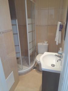 a bathroom with a shower and a toilet and a sink at Flor de Sal in Vila Real de Santo António