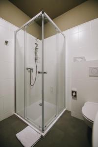 a glass shower in a bathroom with a toilet at Kounický dvůr in Dolní Kounice