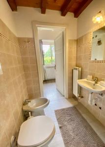 a bathroom with a toilet and a sink at La Dimora Degli Olivi Dependance in Galbiate