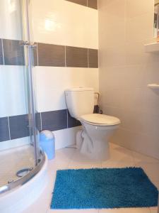 ein Badezimmer mit einem WC und einem blauen Teppich in der Unterkunft Privat Klonga in Smrečany