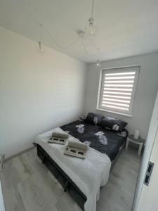 a bedroom with a bed in a room with a window at N° 60 in Płock +8 photos