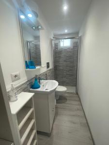 bagno con lavandino, servizi igienici e specchio di Maison Rinaldi SrL a Bari
