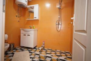 a bathroom with an orange tiled floor and a shower at Zmaj Ognjeni Etno Concept in Kupinovo