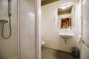 a bathroom with a shower and a sink and a toilet at Kounický dvůr in Dolní Kounice