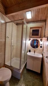 a bathroom with a shower and a toilet and a sink at Leśna ostoja Poddąbie in Poddąbie