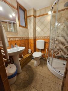 a bathroom with a toilet and a sink and a shower at Casa cu Turn in Sărata-Monteoru