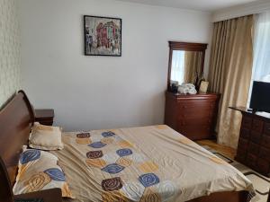 una camera con letto e cassettiera di Apartament Florilor a Baia Mare