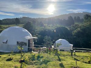 Poas Volcano Observatory Lodge & Glamping في Poasito: خيمتين في حقل مع الشمس في السماء