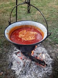 a pot of stew on top of a fire at Zmaj Ognjeni Etno Concept in Kupinovo