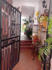 un pasillo con una puerta y una mesa con plantas en PATIO POZANCO, en Córdoba