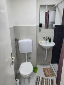 een kleine badkamer met een toilet en een wastafel bij Apartman Dia Sarajevo in Sarajevo