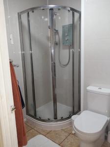 a bathroom with a shower and a toilet at 2 bed Villa with full use of site facilities in Newquay