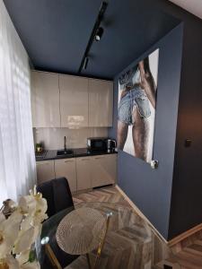 Kuchyň nebo kuchyňský kout v ubytování Apartament Pod Skrzydłami Aniola