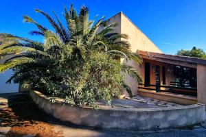 eine Palme vor einem Haus in der Unterkunft Maison de campagne vue Étang de Thau ! in Frontignan